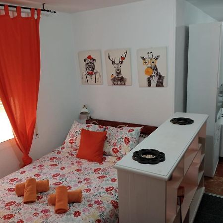 Apartamento Con Encanto 'Larios Studio' Málaga Exterior foto